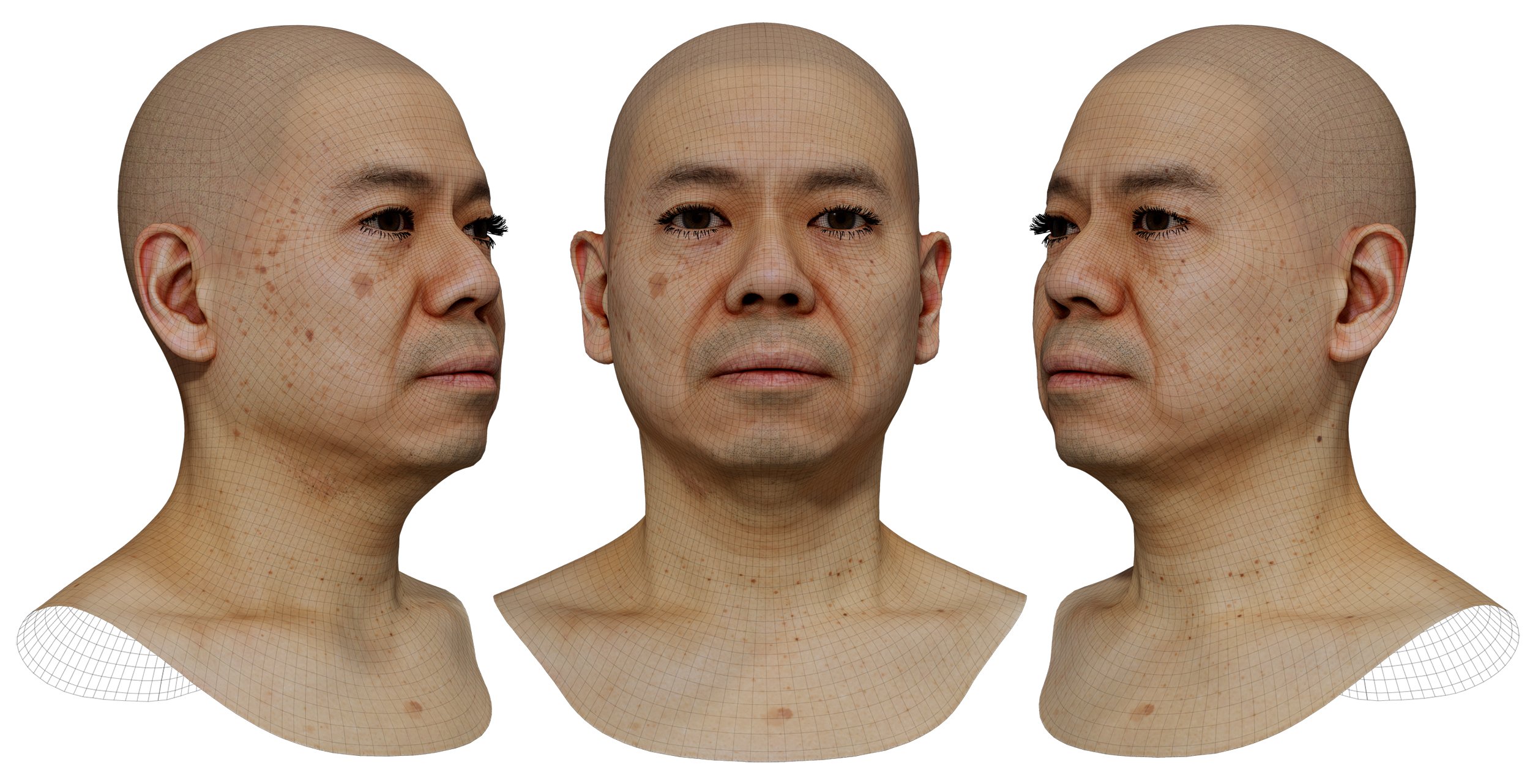 Download Male Face Model 3D Asian Head